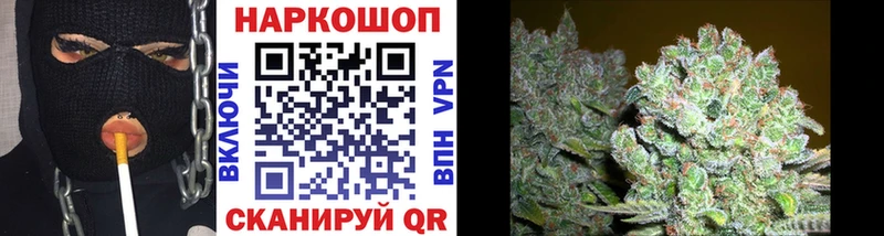 Лсд 25 Дзержинский