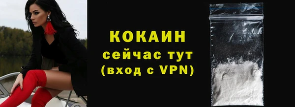 прущие грибы Горно-Алтайск