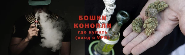 ГАЛЛЮЦИНОГЕННЫЕ ГРИБЫ Горняк