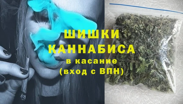 прущие грибы Горно-Алтайск