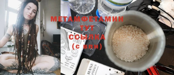прущие грибы Горно-Алтайск
